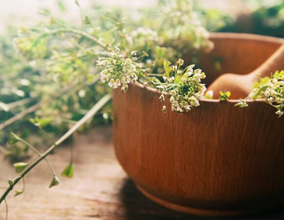 Die Großen Heiler: Paracelsus Die Großen Heiler: Paracelsus