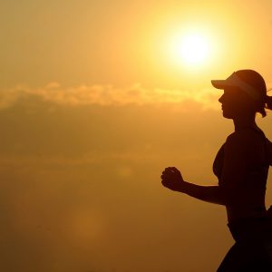 Präsenzseminar Trainingsberatung und Leistungsdiagnostik (Fernlehrgang Gesundheitsberater und Fitnesscoaching) Präsenzseminar Trainingsberatung und Leistungsdiagnostik (Fernlehrgang Gesundheitsberater und Fitnesscoaching)