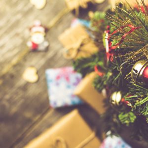 Mistel, Zimt und Tanne – Weihnachtszeit aus naturheilkundlicher Sicht