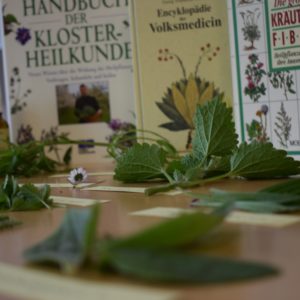 Leipzig – Modulausbildung Phytotherapie Leipzig – Modulausbildung Phytotherapie