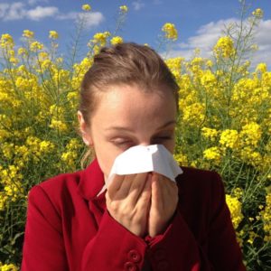 Allergie, Allergen, Antigen & Co. – Was ist der Unterschied?