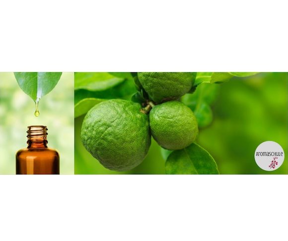 Online-Seminarreihe – Psychotherapeutische Aromapraxis Online-Seminarreihe – Psychotherapeutische Aromapraxis