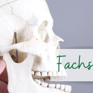 Aschaffenburg – Fachseminar Kiefergelenk-Workshop Aschaffenburg – Fachseminar Kiefergelenk-Workshop