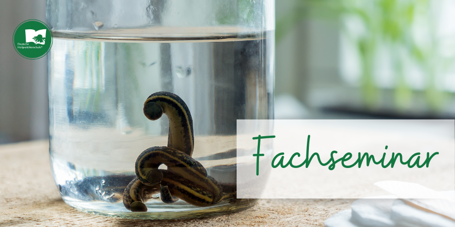 Aschaffenburg – Fachseminar Blutegeltherapie