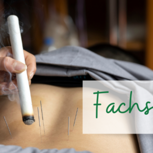 Aschaffenburg – Fachseminar Moxibustion – Wärme als Behandlung Aschaffenburg – Fachseminar Moxibustion – Wärme als Behandlung