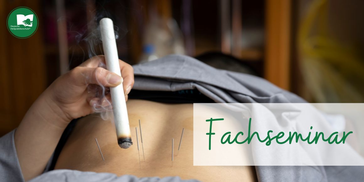 Aschaffenburg – Fachseminar Moxibustion – Wärme als Behandlung