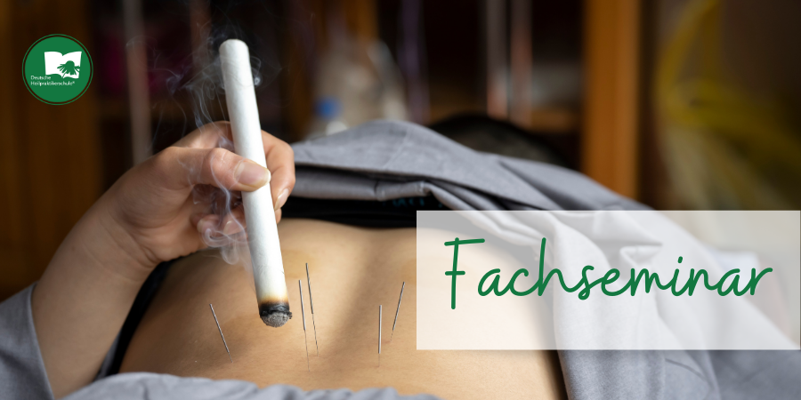 Aschaffenburg – Fachseminar Moxibustion – Wärme als Behandlung