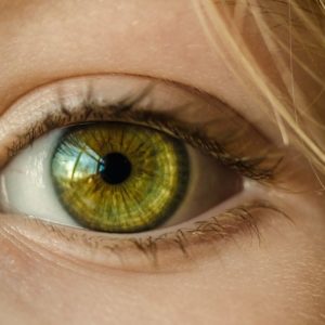 Checkup Anatomie: Das Auge