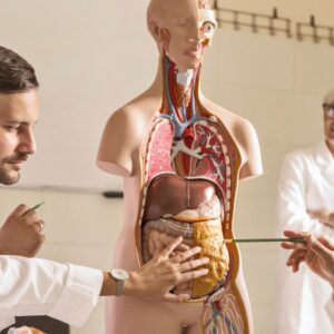 Ausbildung zum Heilpraktiker Naturheilkunde – fit für Ihren Praxisstart