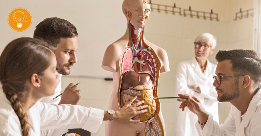 Ausbildung zum Heilpraktiker Naturheilkunde – fit für Ihren Praxisstart