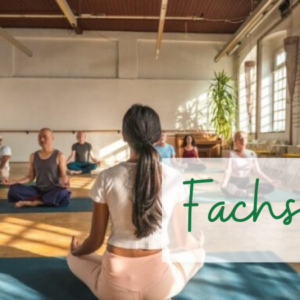 Berlin / Potsdam – Fachseminar Achtsamkeitstechniken