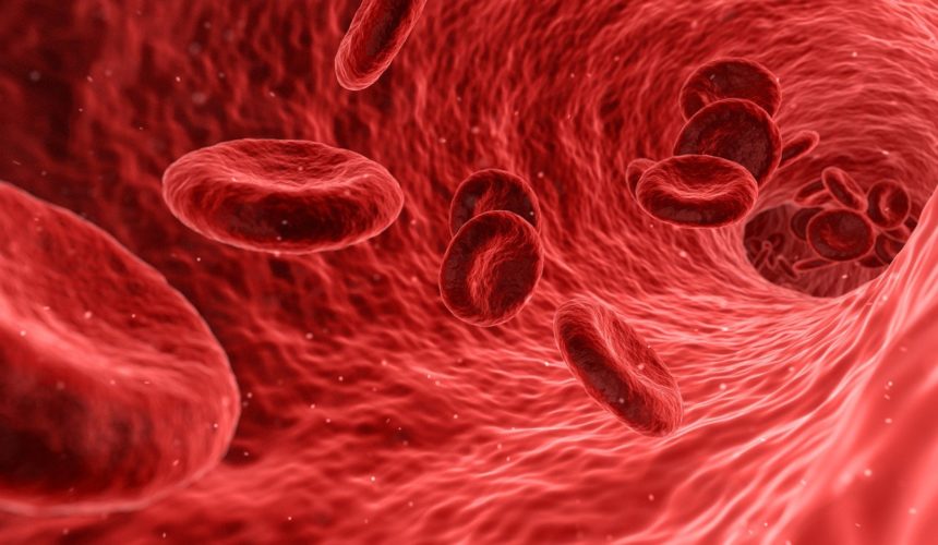 Welche Werte zeigt das große Blutbild? – Den Laborbefund verstehen