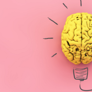 Checkup Anatomie: Die Hirnnerven Checkup Anatomie: Die Hirnnerven