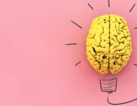 Checkup Anatomie: Die Hirnnerven