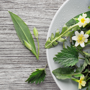 Detox mit Wildkräutern – frische Kraft aus der Natur im Frühling