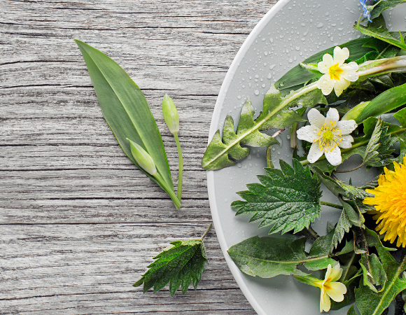 Detox mit Wildkräutern – frische Kraft aus der Natur im Frühling