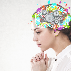 Checkup Anatomie: Die Blutversorgung des Gehirns Checkup Anatomie: Die Blutversorgung des Gehirns