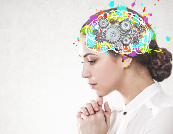 Checkup Anatomie: Die Blutversorgung des Gehirns