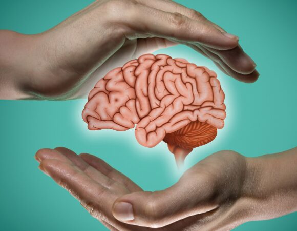 Checkup Anatomie: Die Hirnhäute