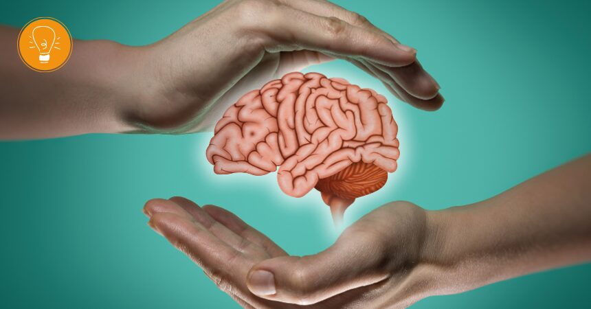 Checkup Anatomie: Die Hirnhäute Checkup Anatomie: Die Hirnhäute