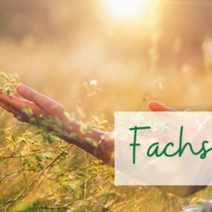 Erlangen – Fachseminar Energiearbeit