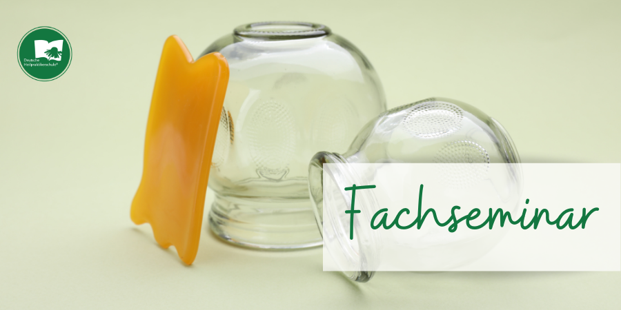 Erlangen – Fachseminar Schröpfen und Gua Sha Fa