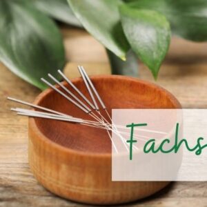 Eschwege – Fachseminar Grundkurs Ohrakupunktur Eschwege – Fachseminar Grundkurs Ohrakupunktur