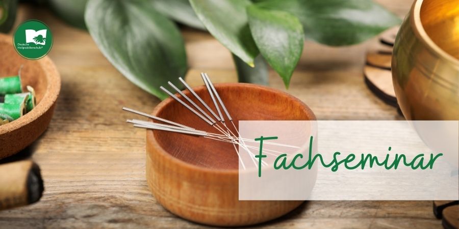 Eschwege - Fachseminare Grundkurs Ohrakupunktur