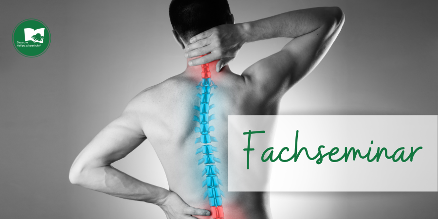 Leipzig – Fachseminar Dorn-Breuss-Methode