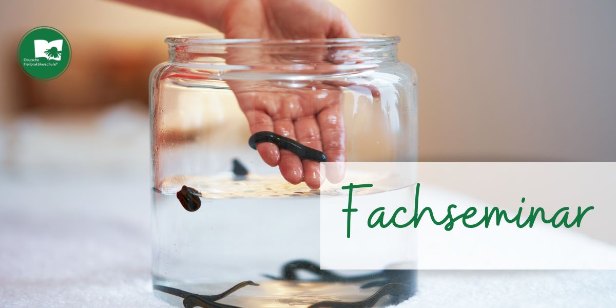 Frankfurt am Main – Fachseminar Systemische und lokale Blutegeltherapie in 2 Modulen