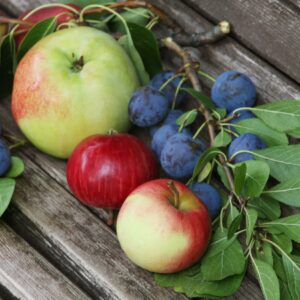 Fructoseintoleranz – Symptome, Diagnose & Ernährungstherapie