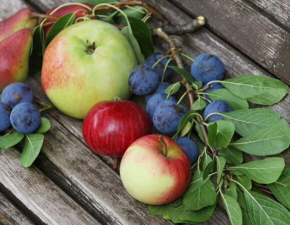 Fructoseintoleranz – Symptome, Diagnose & Ernährungstherapie