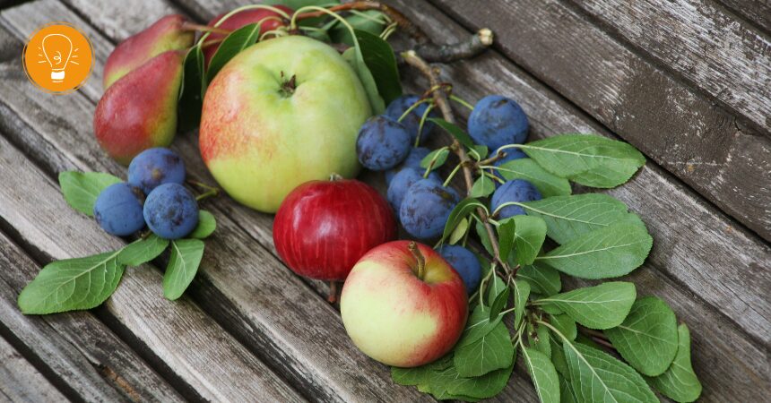 Fructoseintoleranz – Symptome, Diagnose & Ernährungstherapie