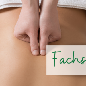 Fulda – Fachseminar Dynamische Wirbelsäulentherapie nach Dieter Dorn und Breuß-Massage