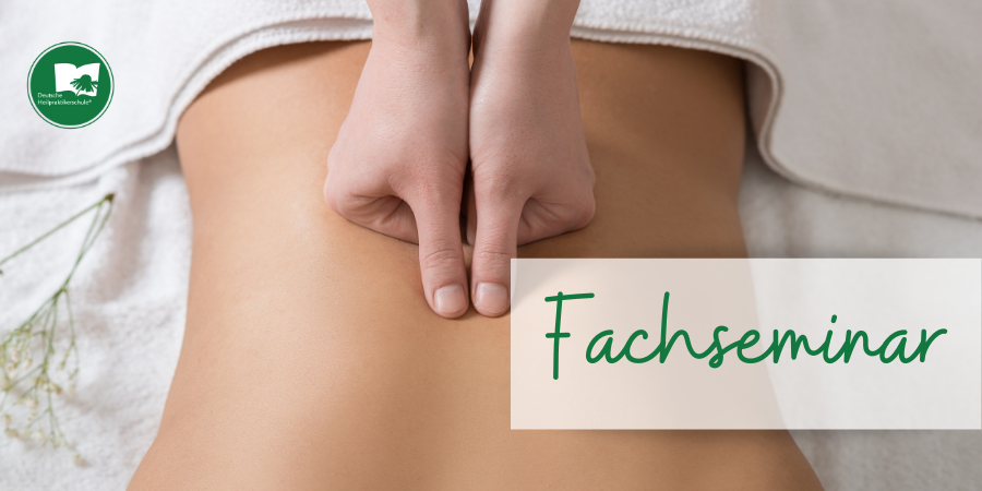 Fulda – Fachseminar Dynamische Wirbelsäulentherapie nach Dieter Dorn und Breuß-Massage