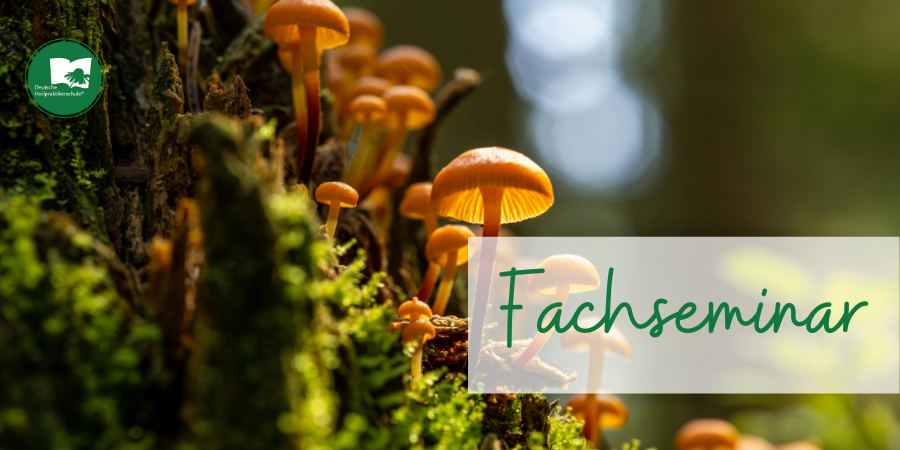 Hannover – Fachseminar Mykotherapie