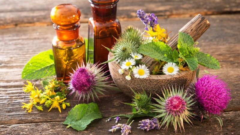 Ausbildung zum Heilpraktiker für Naturheilkunde im Fernlehrgang