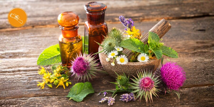 Ausbildung zum Heilpraktiker für Naturheilkunde im Fernlehrgang