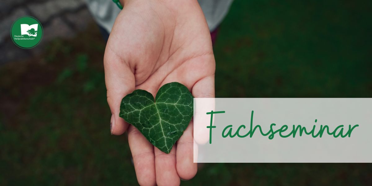 Erlangen - Fachseminar Naturcoaching 4 Module