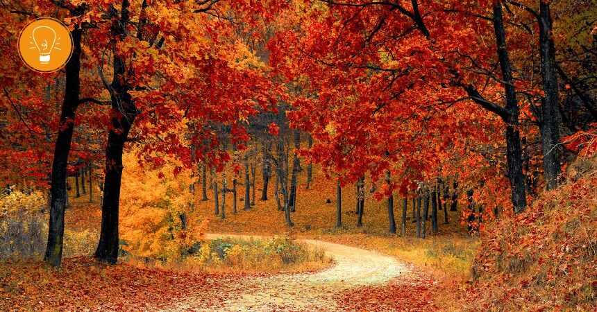 Leben mit den Jahreszeiten ‒ Herbst