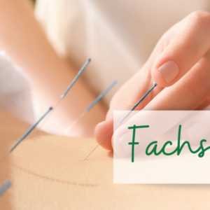 Leipzig – Fachseminar Körperakupunktur