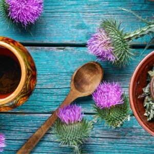 Mariendistel – ein Segen für die Leber