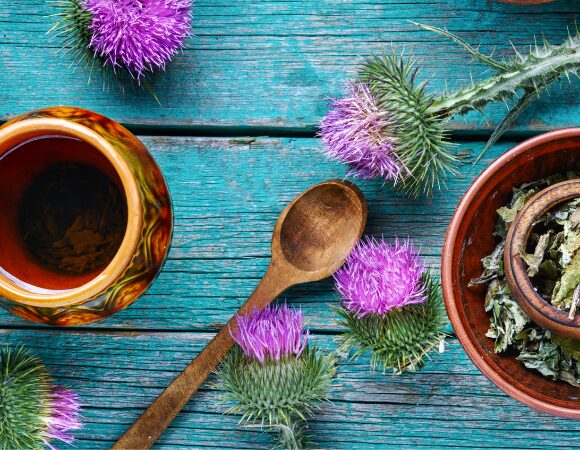 Mariendistel – ein Segen für die Leber Mariendistel – ein Segen für die Leber