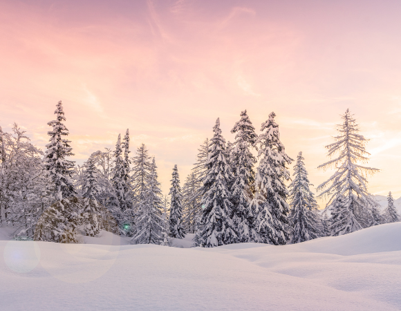 Mit den Jahreszeiten leben – Winter