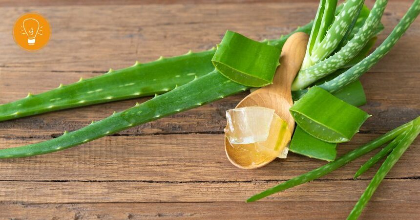 nu3 aloe vera Aloe Vera Gel main image 1