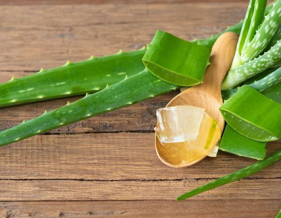 Natürliche Schönheit und Gesundheit mit Aloe Vera