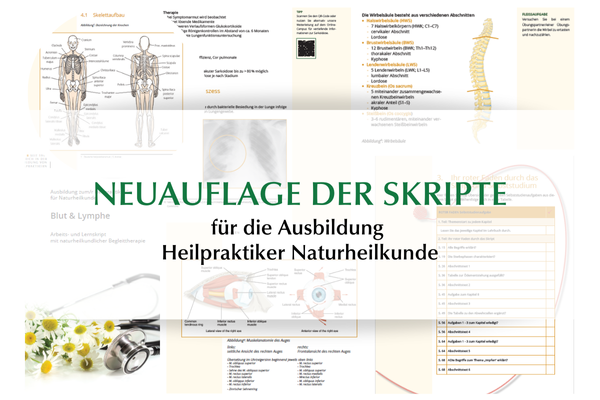 Neuauflage der NAT-Skripte