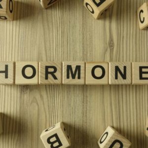 Online-Ausbildung zum Hormoncoach