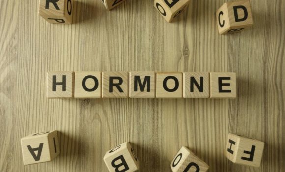 Online-Ausbildung zum Hormoncoach
