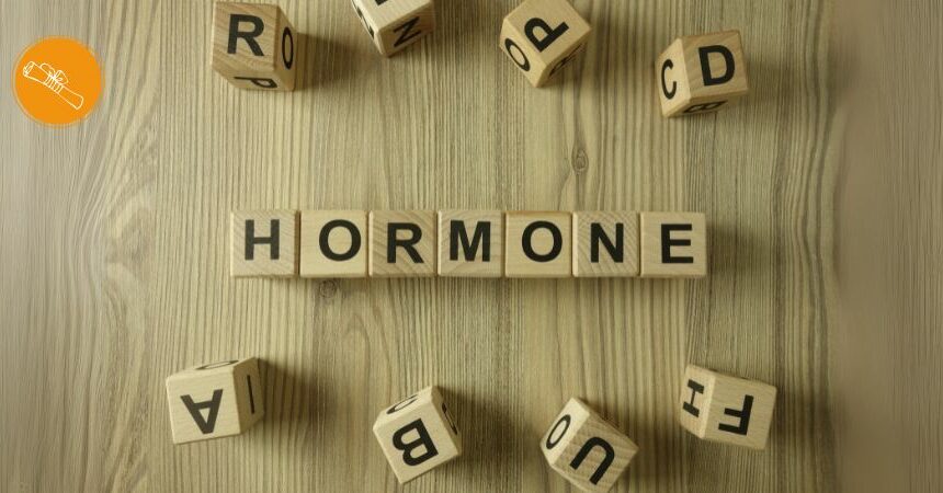 Online-Ausbildung zum Hormoncoach Online-Ausbildung zum Hormoncoach